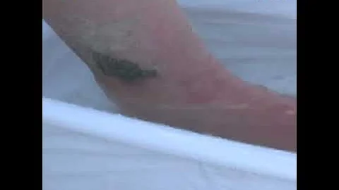 Люди и скаты