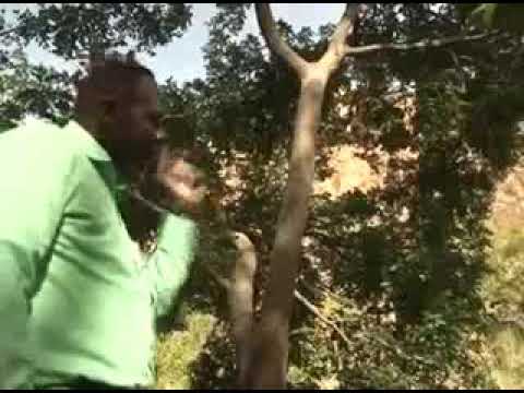 برتكان مره الله لي منو ــــ