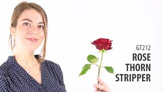 Rose thorn stripper by Esschert Design