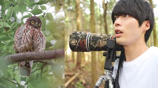 お写ん歩してたらフクロウにばったり出会ったので素早くファインダーを覗くと...