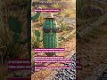 “Desert plants are nature’s survival experts #agri #biology #genetics #survival #phytology