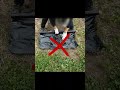 【ずぼら畑】早く知りたかった!ひとりでマルチシートはこう貼る★この裏ワザ使ってるひといる〜?#農業 #野菜作り #畑