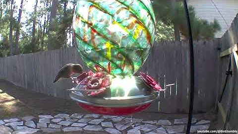 Muse Garden Glass Hummingbird Feeder (with built in ant moat)