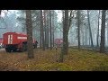 Рятувальники Житомирської області розповіли, хто допомагав гасити пожежу в Поліському заповіднику