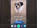 Find your pet's doppelgängers with Pet Portraits in the Google Arts & Culture app.
