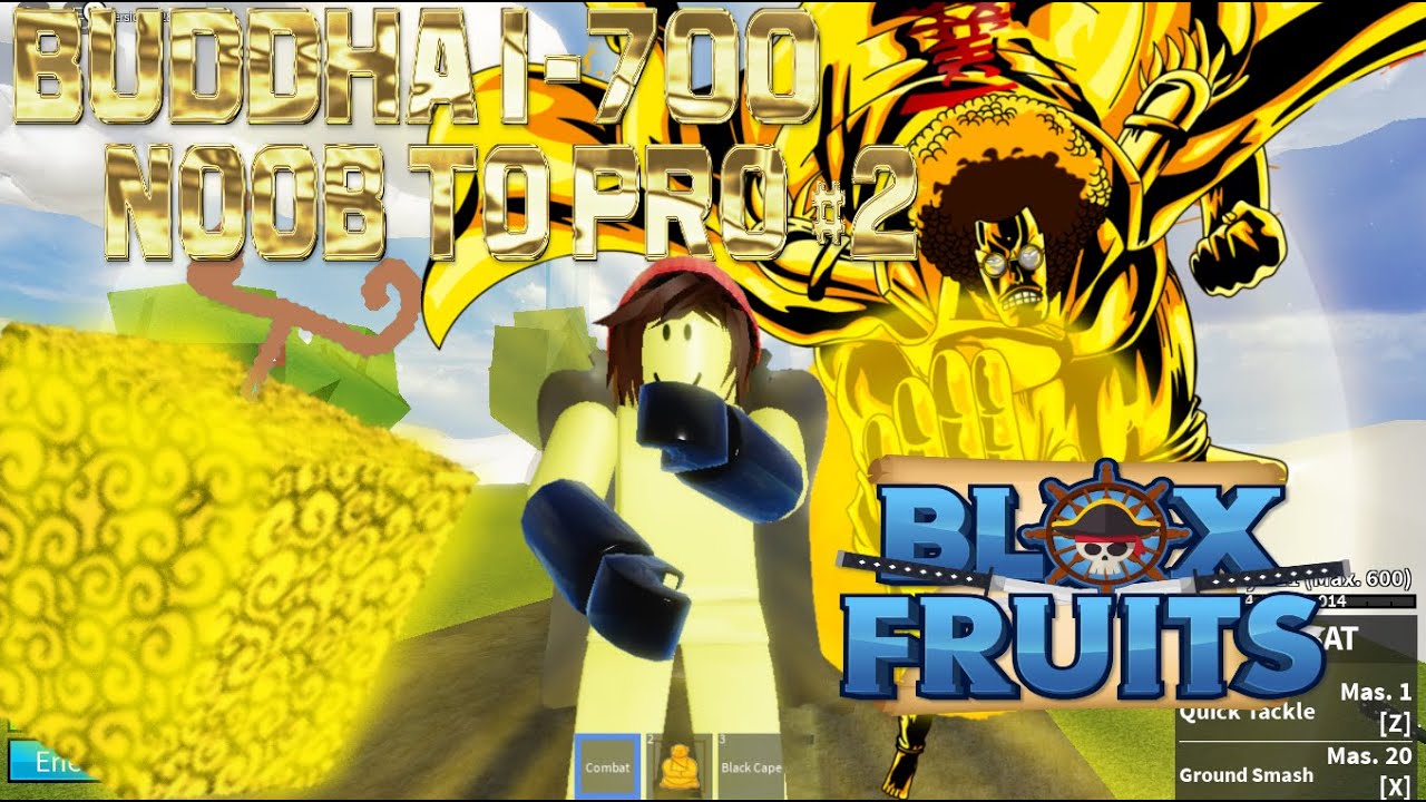 Buddha Fruit USER Level 700 to1500 (UPDATE 17 Blox Fruits) NOOB TO