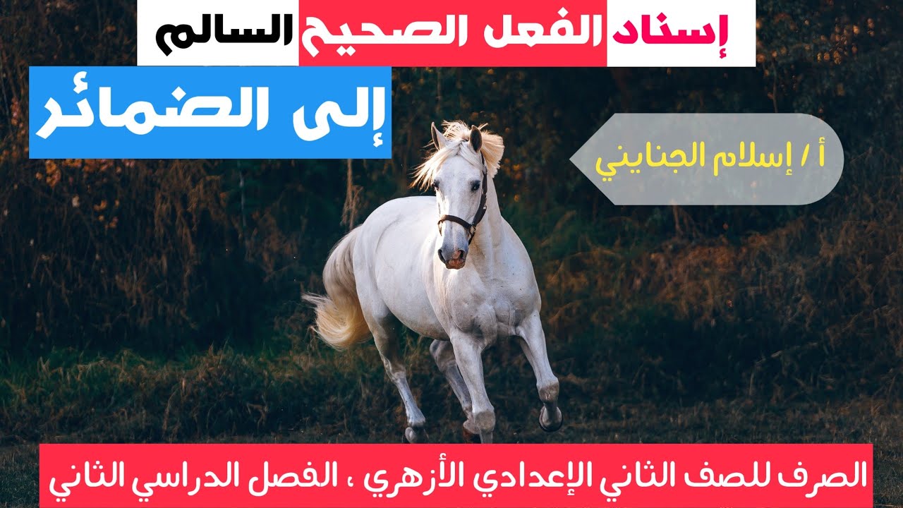 15 / إسناد الفعل الصحيح السالم إلى الضمائر، ( صرف ، شرح )،الصف الثاني الإعدادي الأزهري،ترم تاني2023.
