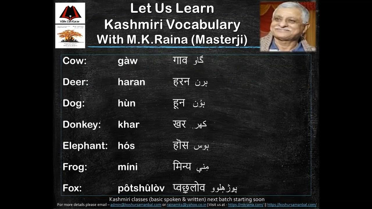 Kashmiri Vocabulary 7. Animals YouTube