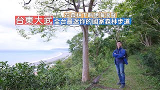台東大武全台最迷你的國家森林步道，邊走邊聽東部特有海浪聲 ... 