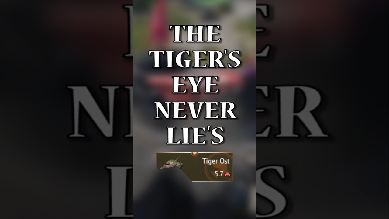 Тигровый глаз никогда не лжет 🐅 
