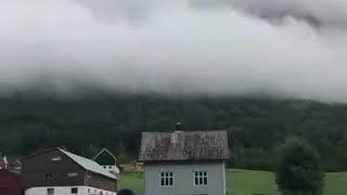 Whatsapp Messenger Status