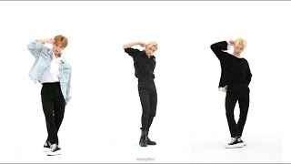 [DANCE COMPARISON] Stray Kids (스트레이키즈) - MANIAC Fancam (Leeknow Hyunjin & Felix)