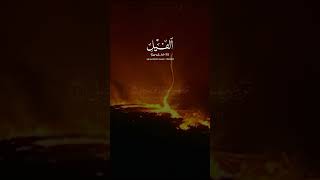 ألم تر كيف فعل ربك بأصحاب الفيل * ألم يجعل كيدهم في تضليل | الشيخ سعد الغامدي