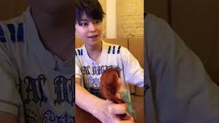 The dog played a trick  @hayataku5348  #toys #shorts #funny