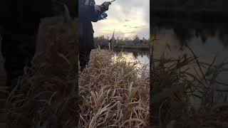 Ловим блесна #рыбалка #fish  #подпишись #природа