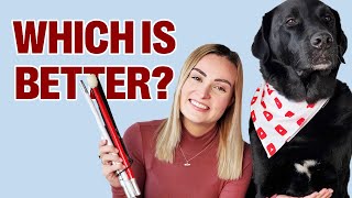 Guide Dog vs. Cane - Pros & Cons!