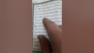 سورة القصص من  ٥١  إلى  ٥٥