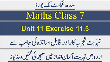 Sindh Board Maths Class 7. Chapter 11 Exercise 11.5
