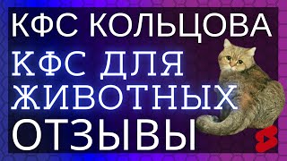 🔥Шотландец Доминик Армани 3 года ▫️ Отзывы о КФС Кольцова ▫️ КФС для животных
