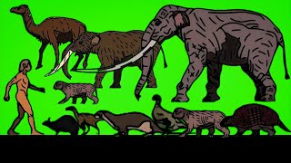 Random Animals and Dinosaurs Size Comparison | Animals Animation 