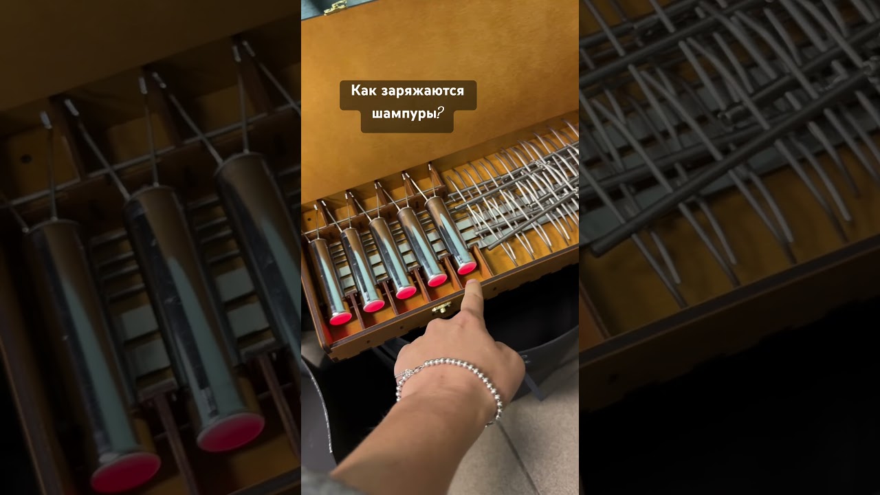 #мечташашлычника