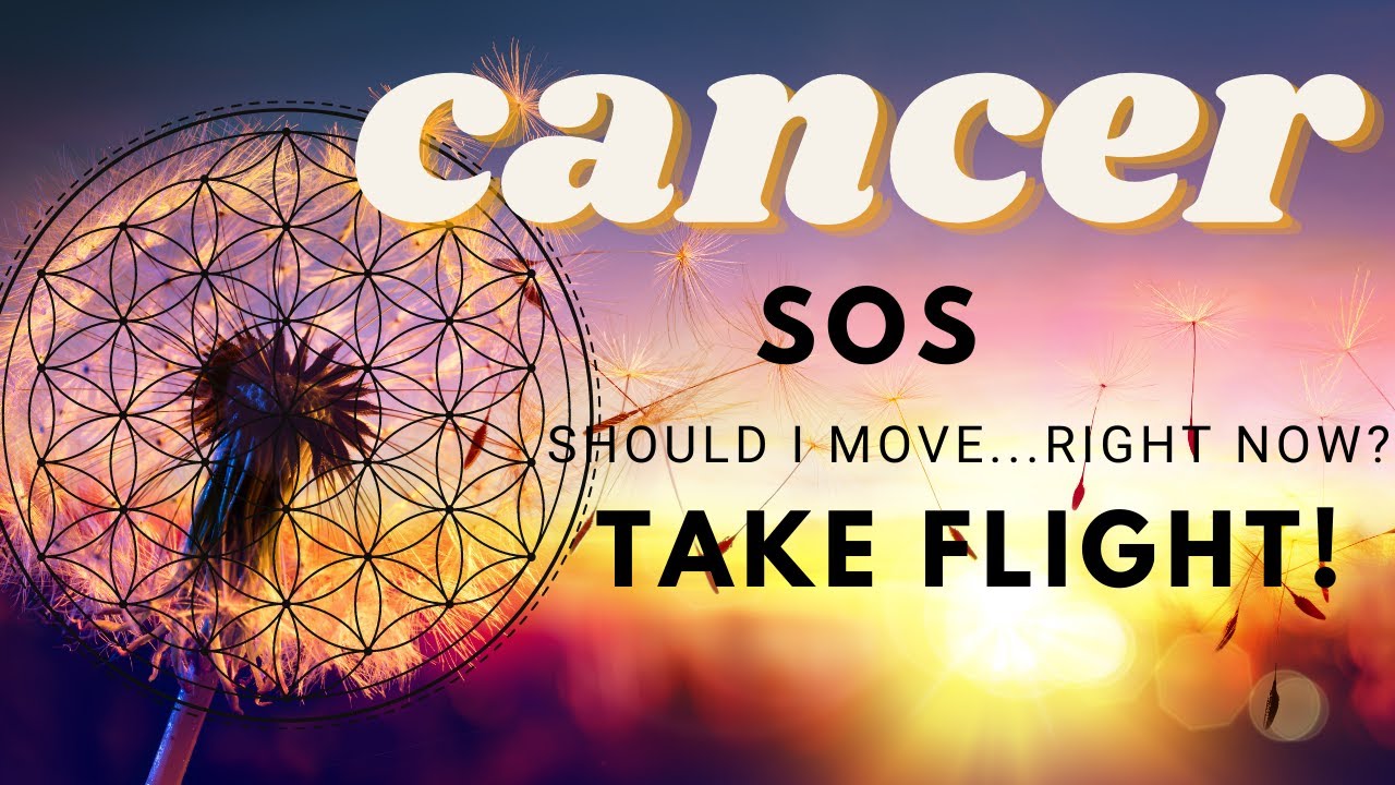SOS for Cancer or ? - Spirit says TAKE FLIGHT --Safety in #'s.  "Should I move?.. like, right now?"🤰