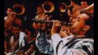 Cambo i Dzafer LIVE