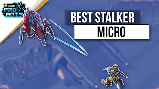 Sharpys Individual Stalker Micro Might be the Best! | ProBots 2020 Season 3 Highlight