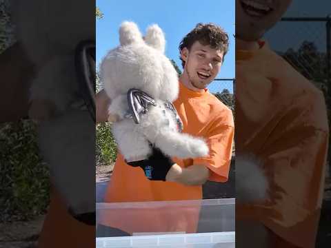 Smoke Bomb vs Labubu!