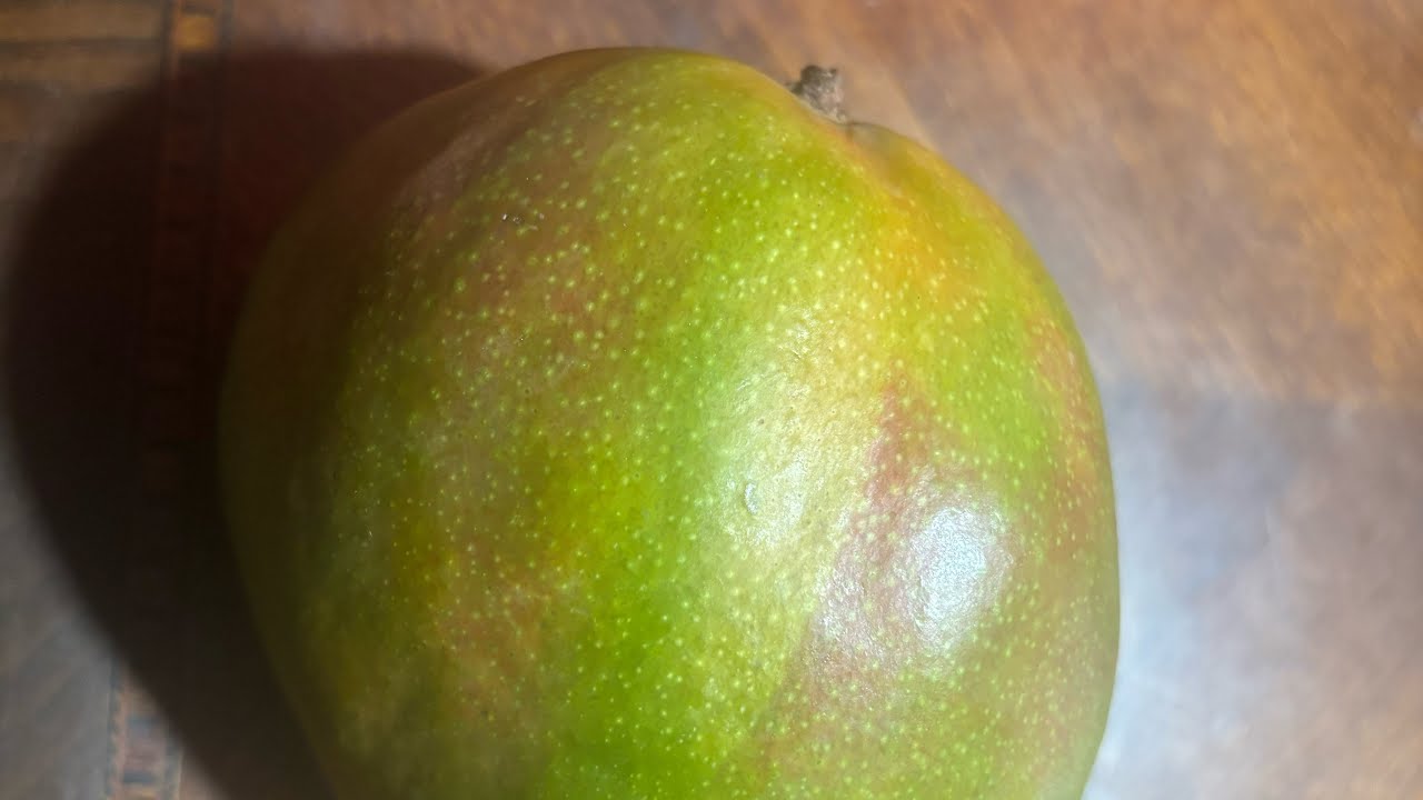 Que Rico Mango El QUE RICO MANGO 🥭 - YouTube