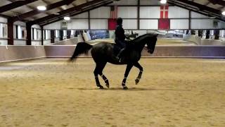 Lindinhof Pami Some Gp 4.17.2020