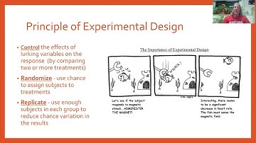 Math 113 Ch 09K (Experimental Design Principles)