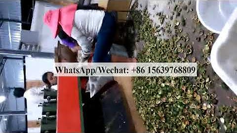 Macadamia nut peeling machine Macadamia nut green skin remove machine Macadamia nut production line