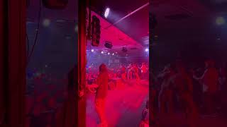 Kublai Khan Tx  antpile 2  Reading Pa December 7th 2024