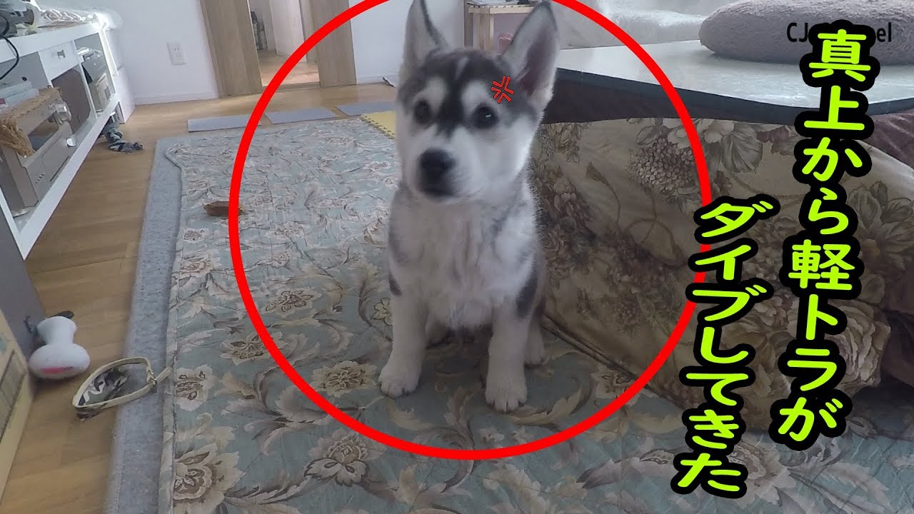 maxresdefault.jpg