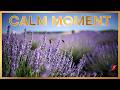 CALM MOMENT – Soaking Worship Piano Instrumental | Quiet Time With God 🙏🎹