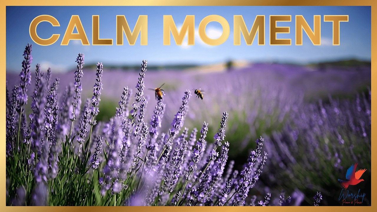 CALM MOMENT – Soaking Worship Piano Instrumental | Quiet Time With God 🙏🎹