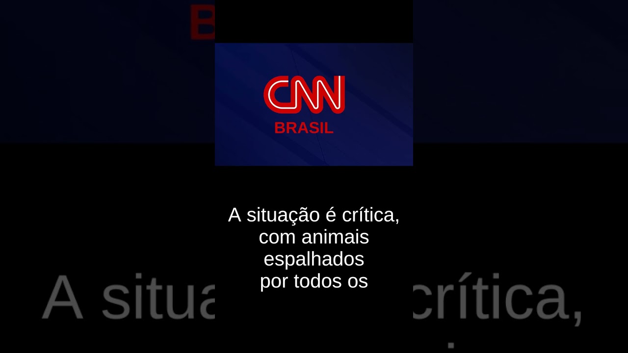 🔴 HOJE: Moçambique é devastada por enchentes e brasileiros tent...