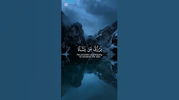 تلاوه خاشعه تريح القلب. #اكسبلور #المصحف #إسلاميات #الرحمن #راحة_نفسية #مكة_المكرمة #دويتو #القزابري