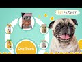 Dog Ear Cleaner The Pet Project