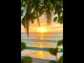 Smoothing Piano music, Relaxing Sleep Music, soft piano, Acoustic #ambientmusic #peacefulwaves