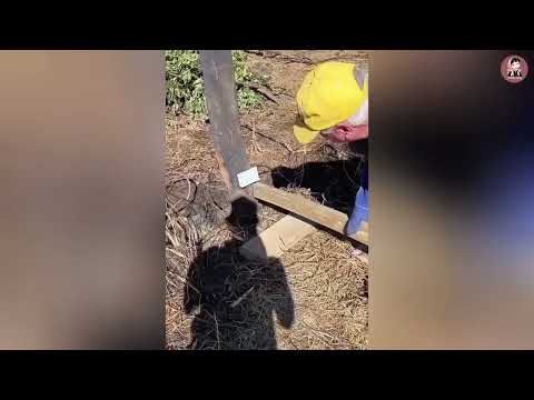 Total Idiots At Work Caught On Camera Best Construction Fails Compilation 2025