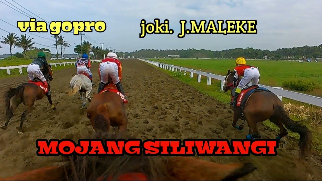 aksi kuda MOJANG SILIWANGI // KELAS F 1000 M// BUPATI CUP PANGANDARAN..