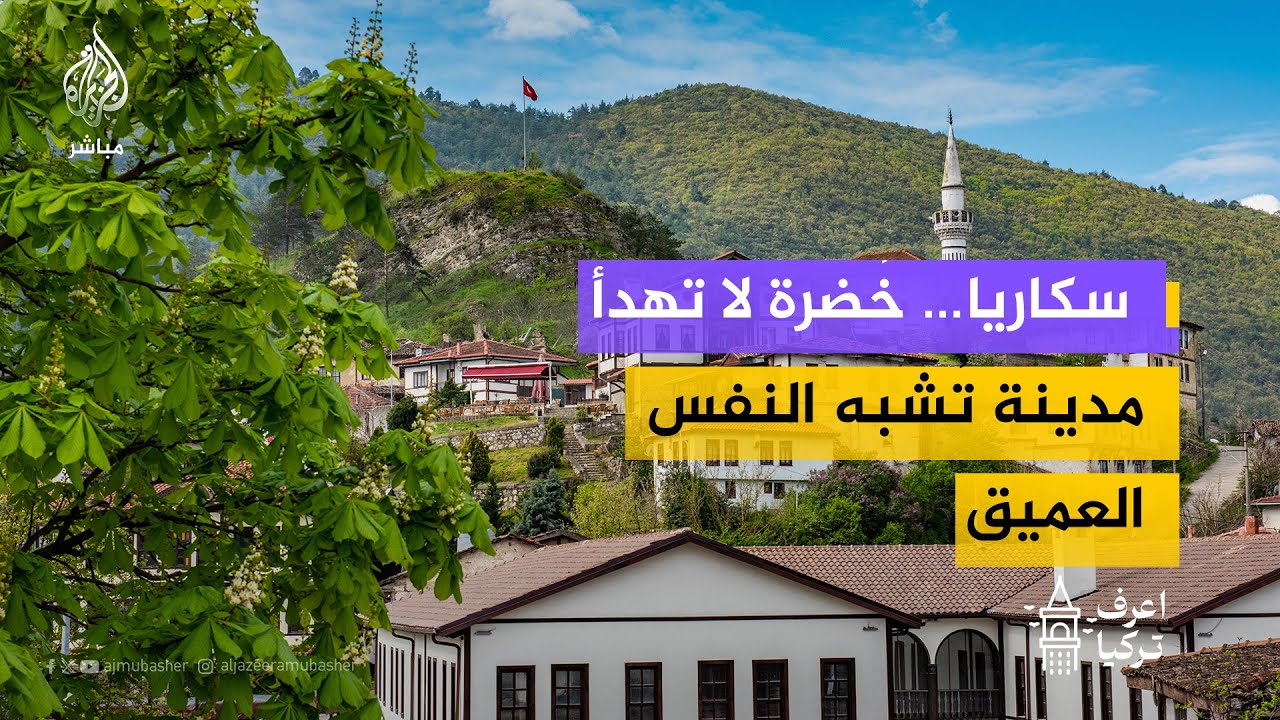 بين زرقة الموج وخضرة الشجر.. حكاية اسمها ساكاريا