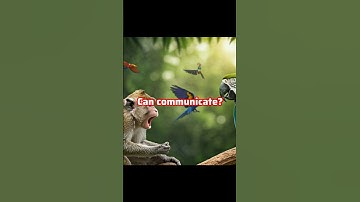 The Secret Language of Animals. #weirdfacts #facts #funfacts #animals #animalfacts