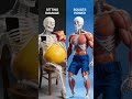 Sitting VS Squats | See what happens 🪑💪😱 #health #sports #food #facts