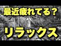 ※限定公開【あなたへ】最近ちょっと疲れていると感じるならば、この動画が出てきた意味があります【39/100 5.11】