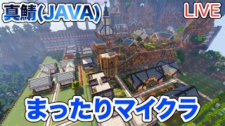 【マイクラ】LIVE：まったりマイクラ！1.17の材料が使いすぎて足りなくなる！（真鯖376）