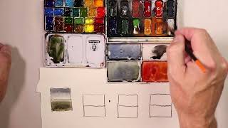 Watercolor Palette Considerations for Artist's   with Chris Petri