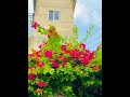 তার দিন কাটে বাস্তবতায়, আর আমার দিন কাটে তার অপেক্ষায়.!😅💔
